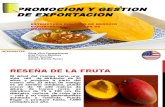 Exposicion Del Mango-2
