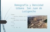 Demografía y Densidad Urbana - San Juan de Lurigancho
