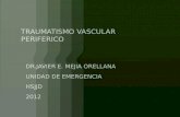 26 Traumatismo-Vascular-Periferico.pptx