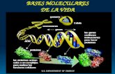 Bases moleculares de la vida_BE_gus_2.ppt