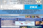 ZIKA Epidemiologia y Complicaciones Neurologicas de La Infección Por El Virus Del Zika Nuevo Virus Neurotropo Emergente