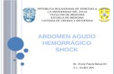 Abdomen Agudo Hemorragico - Copia