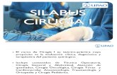 Silabus Explicativo 2016-i Cirug­a i (Actualizado)