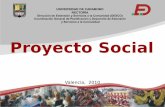 proyecto social y comunitario