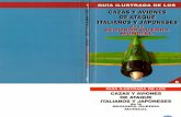Folio - Guía ilustrada de los (06) Cazas y Aviones de Ataque Italianos y Japoneses de la Segunda Guerra Mundial.pdf
