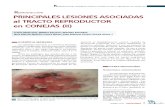Principales Lesiones Asociadas Al Tracto Reproductor en Conejas