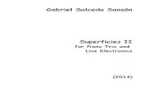 Superficies II Gabriel Salcedo Sansón