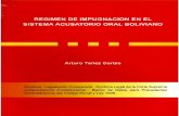 Regimen Impugnacion en Bolivia