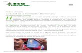 La Salud en la Revolución Bolivariana - Ecoportal.pdf