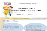 9.2 Salud Reproductiva Seminario