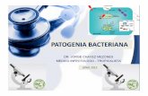 2.Patogenia Bacteriana Upao 2015 (1)