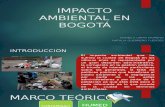 Impacto Ambiental en Bogotá Problemas