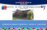 Presentación General Dispositivo Hospital Diurno Infanto Adolescente Programas PAI y HD