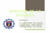División de la Ecología