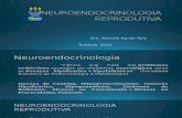 NEUROENDOCRINOLOGIA REPRODUTIVA