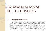 Expresión de Genes