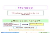 A. Generalidades de Los Hongos