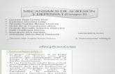 MAD I-microbiología-GRUPO 5-SECCIÓN B-STREPTOCOCCUS.pptx