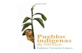 Pueblos Indigenas Mexico Navarrete c1 (1)