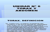 Inst. Quirúrgica - 1º Año - Anatomía - Unidad Nº6 - Tórax y Abdomen.ppt