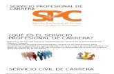Presentación: Servicio Profesional de Carrera (México)