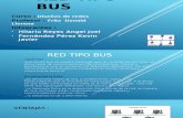 Red Tipo Bus