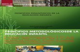 Principios Pedagicos5 PDF