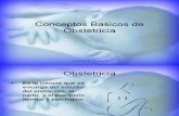 2946663 Conceptos Basicos de Obstetricia 130703115406 Phpapp01