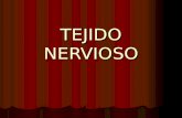 Tejido Nervioso Obst 2016