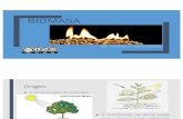 TLYA Biomasa-Generalidades