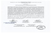 APROBADO PROYECTO ELECTORAL DEL SINDICATO SITEoyecto Electotal Site Aprobado Cne 20-04-2016