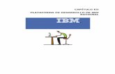 Plataforma de desarrollo IBM