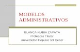 administacion  troricas.pdf