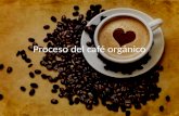 Proceso Del Café Orgánico