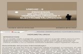 Unidad- ELECTROOBTENCION
