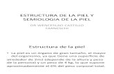 DERMATOLOGIA Semana 1.- Clase 1.- Estructura y Semmiologia de La Piel.- Dr. W. Castillo