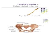 Osteolog­a - MMII
