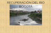 Rio Bogotá