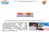cadena epidemiologica e historia natural de la enfermedad