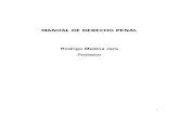 Derecho Penal Parte General (Manual Def.)