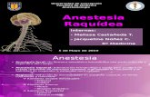 Anestesia Espinal - Seminario