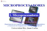 Micro Pro Ces Adores 1