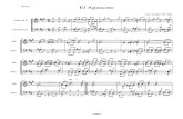 Arreglo Aguacate Brass Score