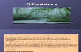 El Eco Sistema