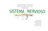 EL SISTEMA NERVIOSO (Fisiopatologia Moya).docx