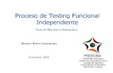 Presentacion Proceso de Testing Funcional Independiente