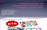 Enfermedades de Transmisión Sexual Por Hongos y Protozoos