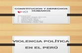 Violencia Politica en El Peru y Dd.hh Semana 12 Grupo 1