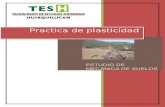 Plasticidad-practica (5 y 6)