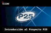 Protocolo P25 Introduccion
